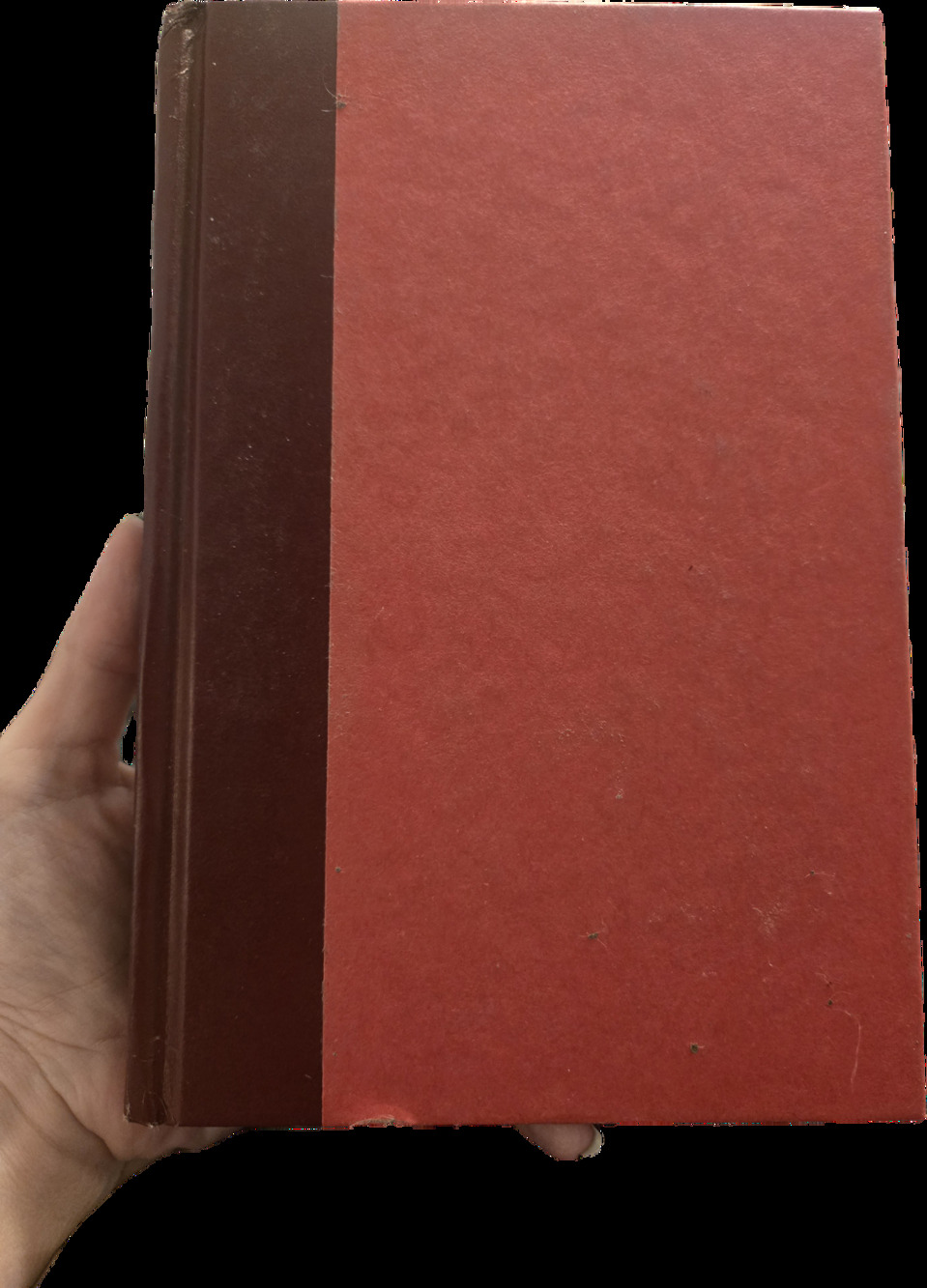 Dream Park Larry Niven Steven Barnes 1981 Hardcover Ace Books Vintage Sci-Fi